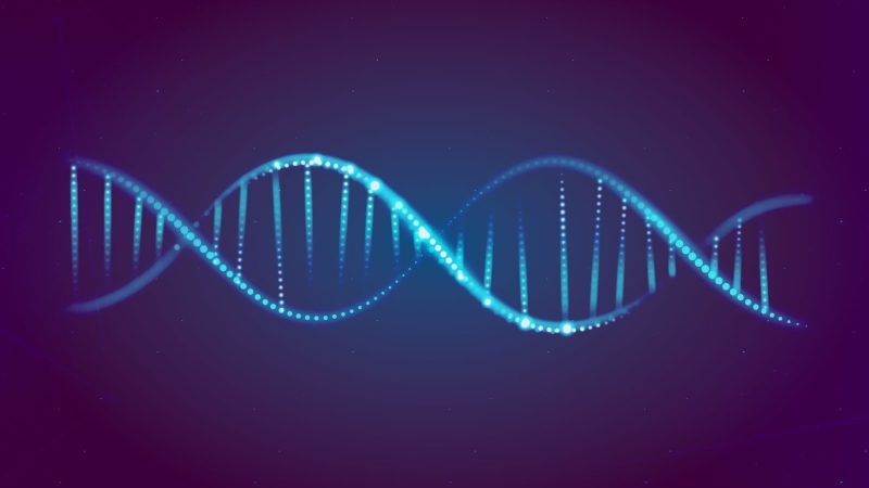 adn énergie soins énergétiques